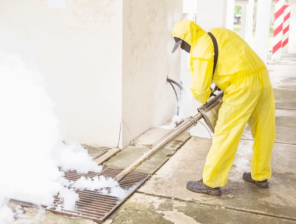 laser cleaning service